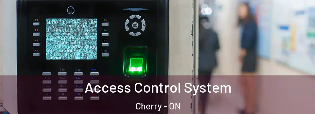  Access Control System Cherry - ON