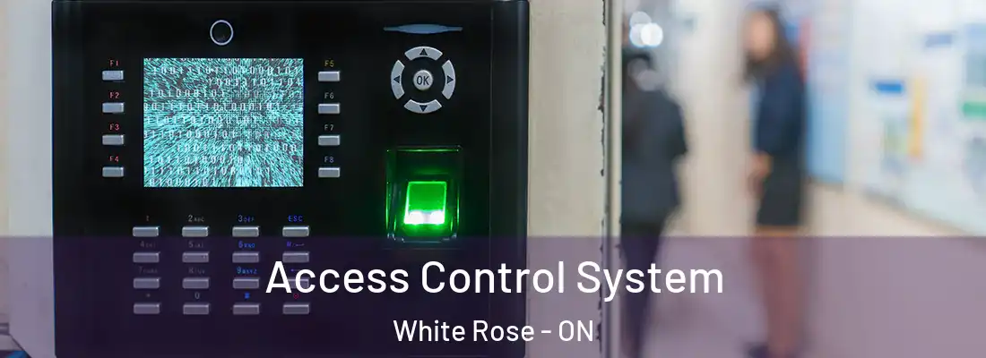  Access Control System White Rose - ON