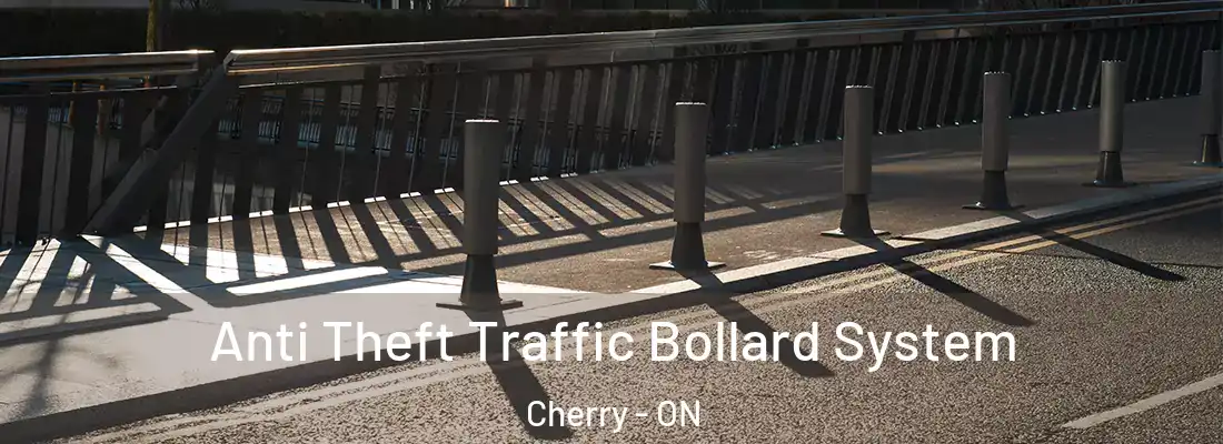  Anti Theft Traffic Bollard System Cherry - ON