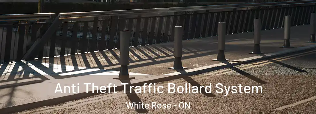  Anti Theft Traffic Bollard System White Rose - ON