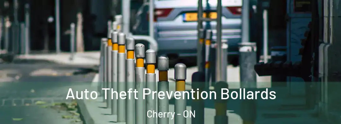  Auto Theft Prevention Bollards Cherry - ON