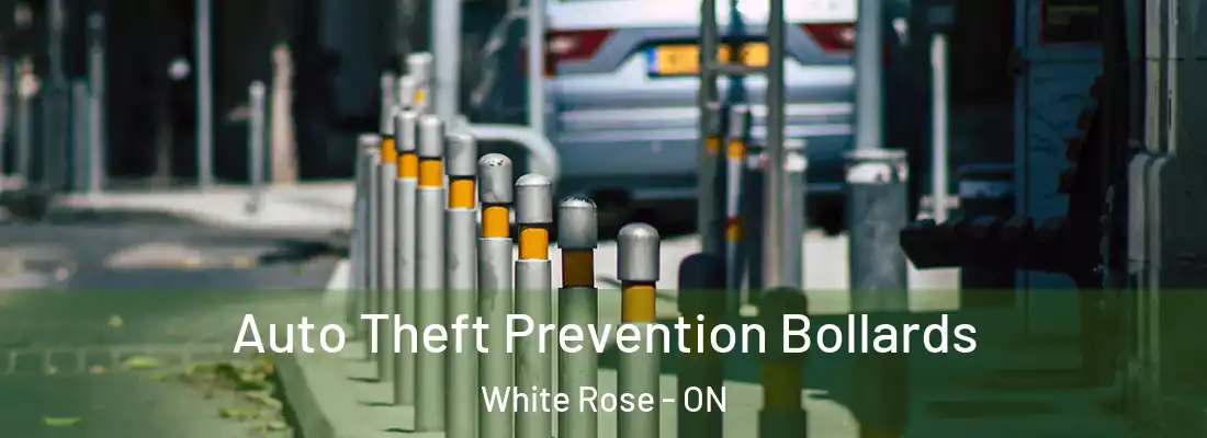  Auto Theft Prevention Bollards White Rose - ON
