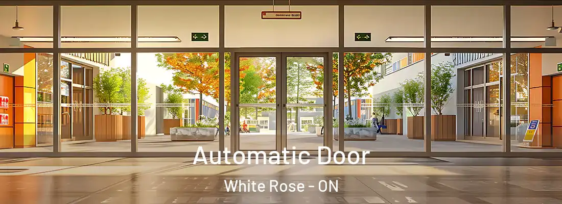  Automatic Door White Rose - ON