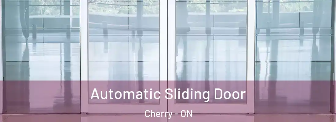  Automatic Sliding Door Cherry - ON