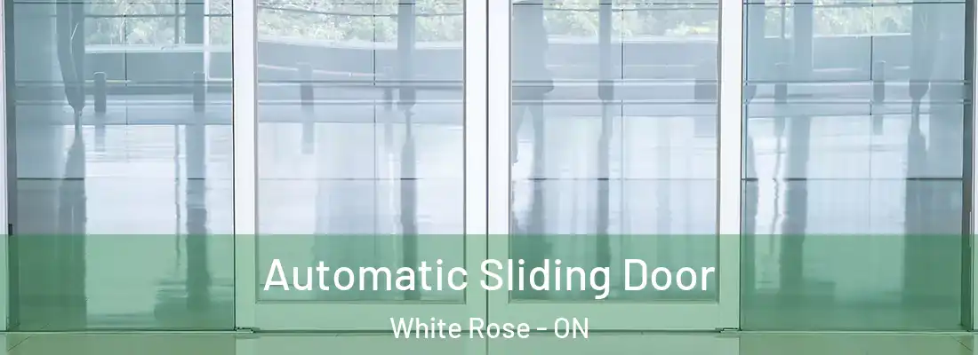  Automatic Sliding Door White Rose - ON
