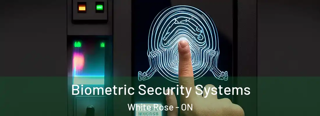  Biometric Security Systems White Rose - ON