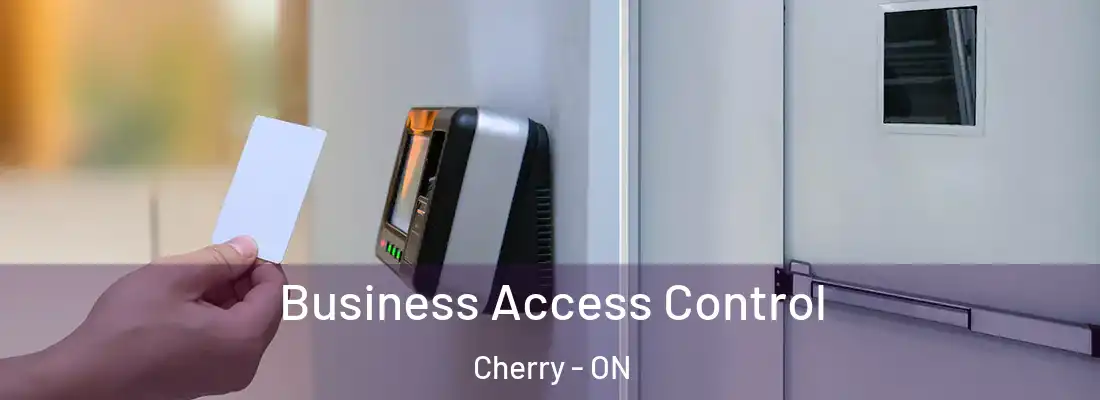  Business Access Control Cherry - ON