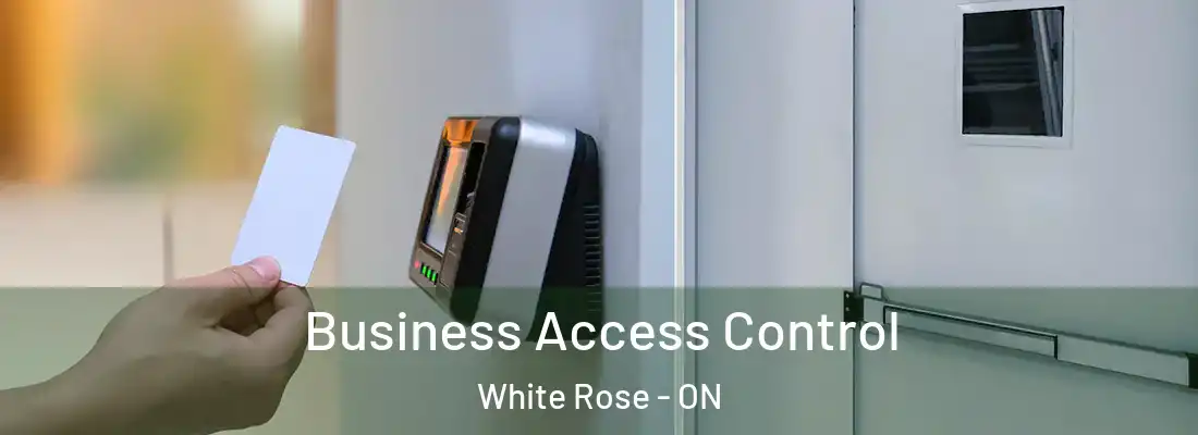  Business Access Control White Rose - ON