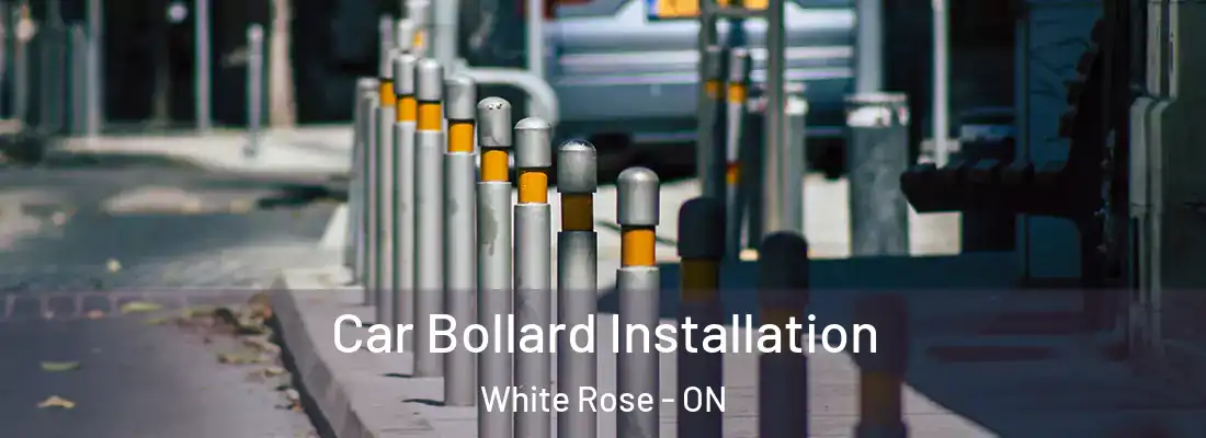  Car Bollard Installation White Rose - ON