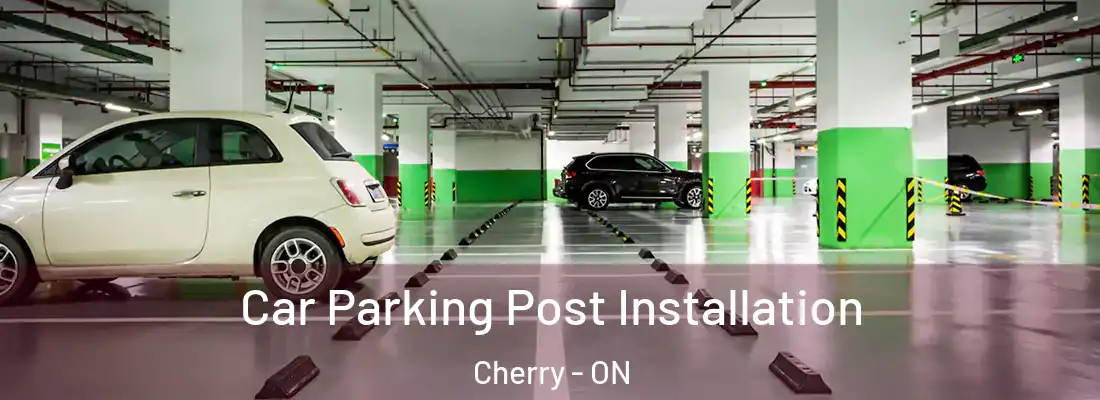  Car Parking Post Installation Cherry - ON