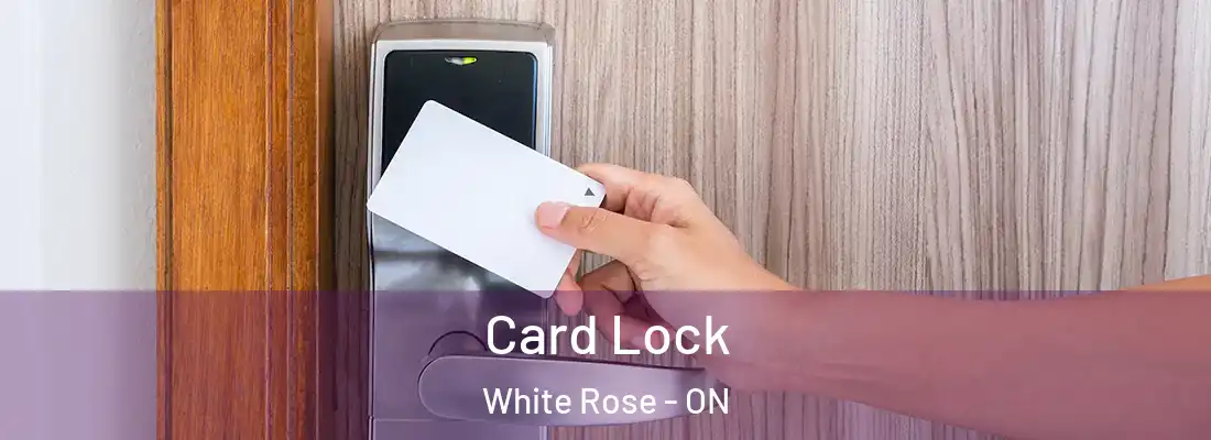  Card Lock White Rose - ON