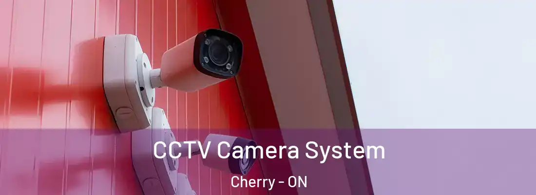  CCTV Camera System Cherry - ON
