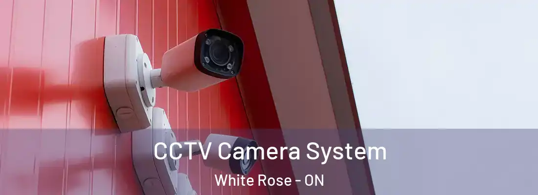  CCTV Camera System White Rose - ON