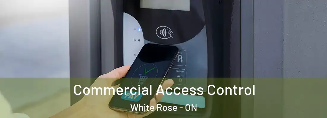 Commercial Access Control White Rose - ON