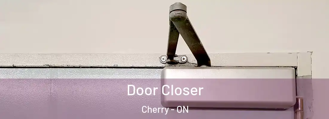  Door Closer Cherry - ON