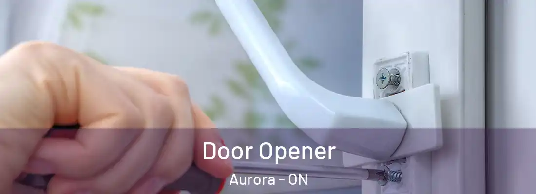  Door Opener Aurora - ON