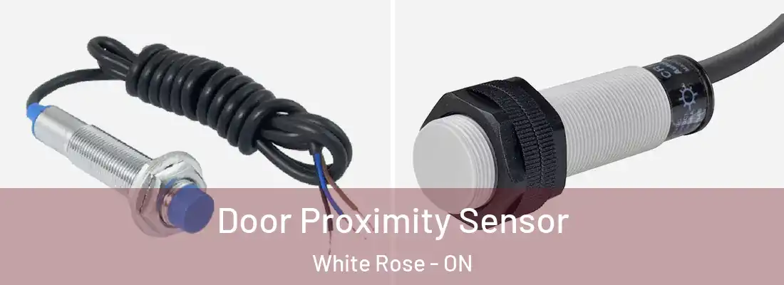  Door Proximity Sensor White Rose - ON