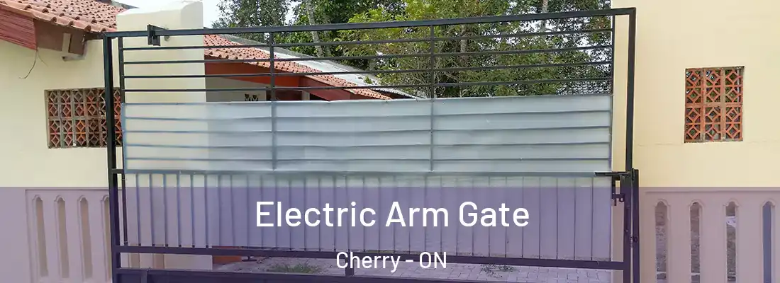  Electric Arm Gate Cherry - ON
