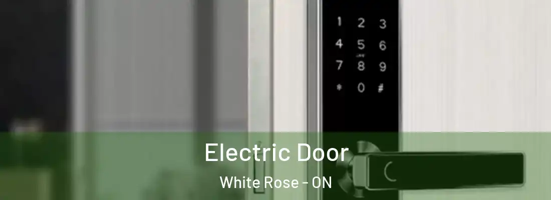  Electric Door White Rose - ON
