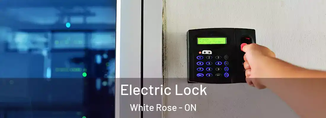  Electric Lock White Rose - ON