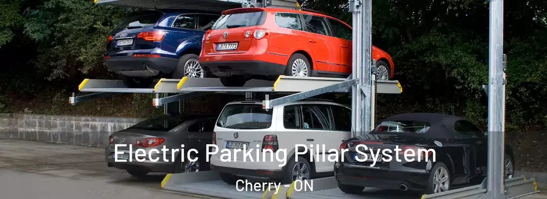  Electric Parking Pillar System Cherry - ON