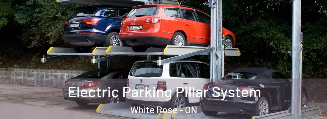  Electric Parking Pillar System White Rose - ON