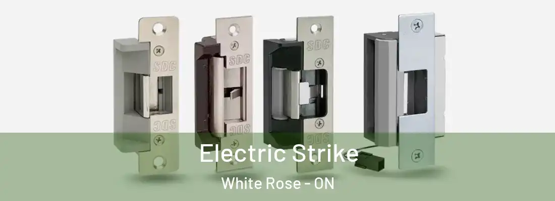  Electric Strike White Rose - ON
