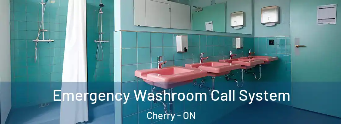  Emergency Washroom Call System Cherry - ON