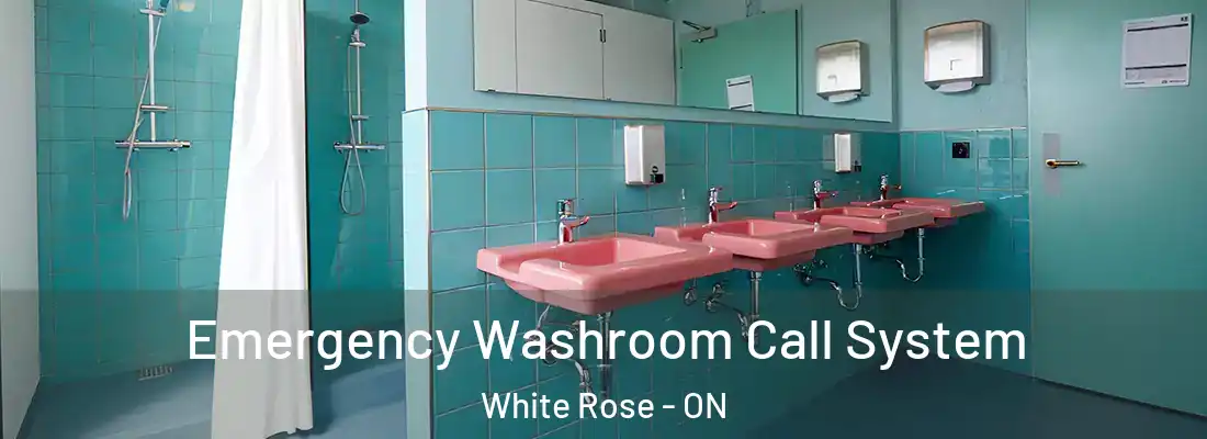  Emergency Washroom Call System White Rose - ON