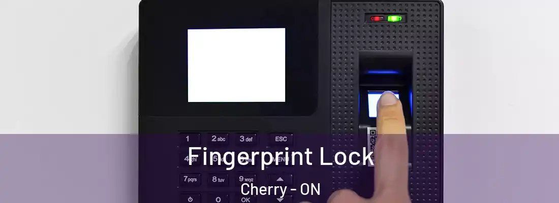  Fingerprint Lock Cherry - ON