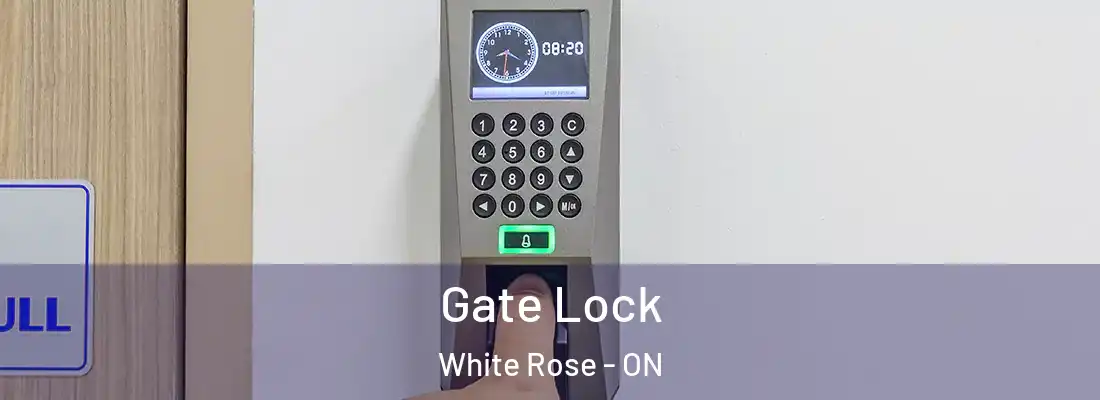  Gate Lock White Rose - ON