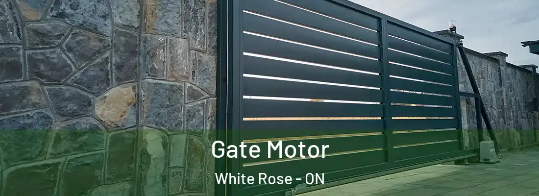  Gate Motor White Rose - ON