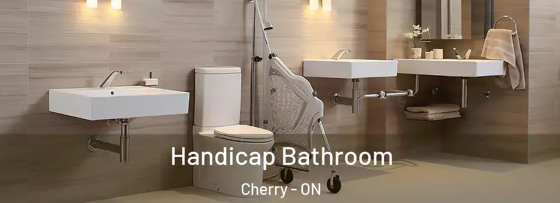  Handicap Bathroom Cherry - ON