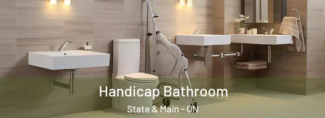  Handicap Bathroom State & Main - ON