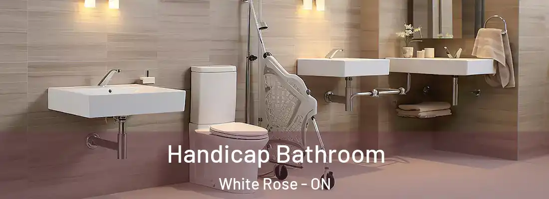  Handicap Bathroom White Rose - ON