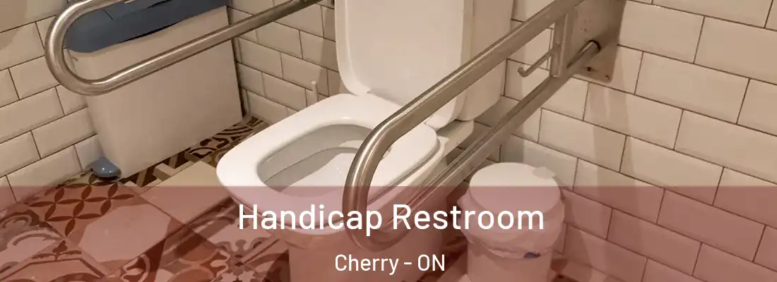  Handicap Restroom Cherry - ON