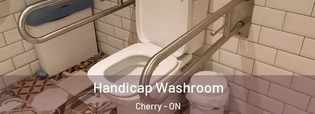  Handicap Washroom Cherry - ON