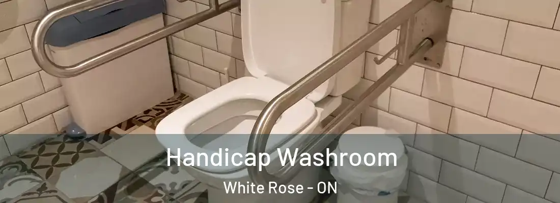  Handicap Washroom White Rose - ON