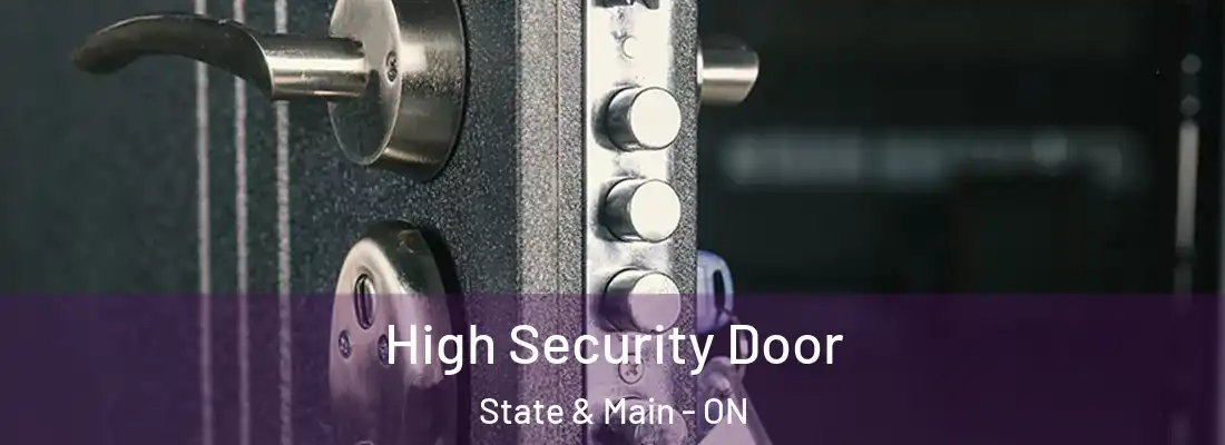  High Security Door State & Main - ON