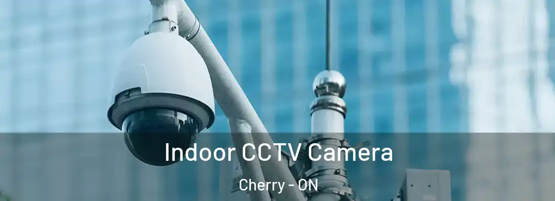  Indoor CCTV Camera Cherry - ON