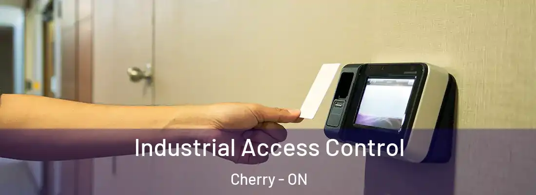  Industrial Access Control Cherry - ON