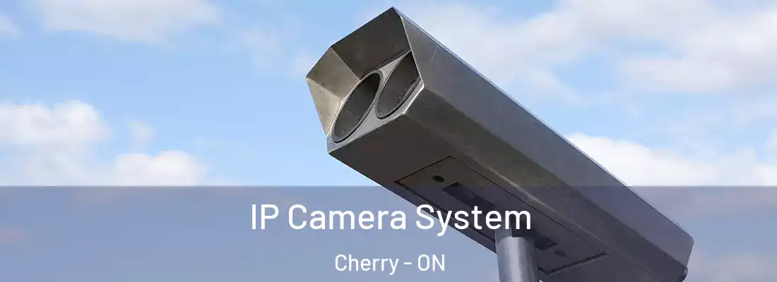  IP Camera System Cherry - ON