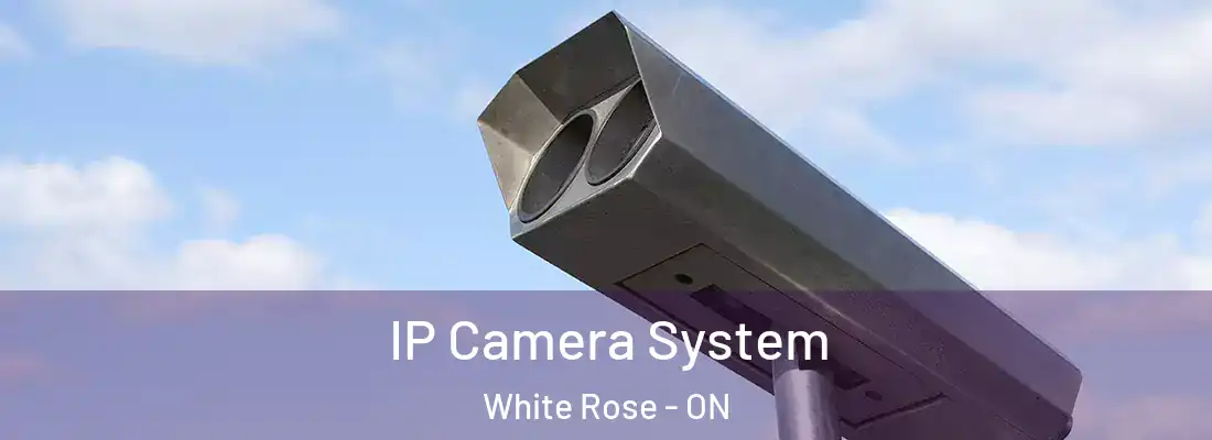 IP Camera System White Rose - ON