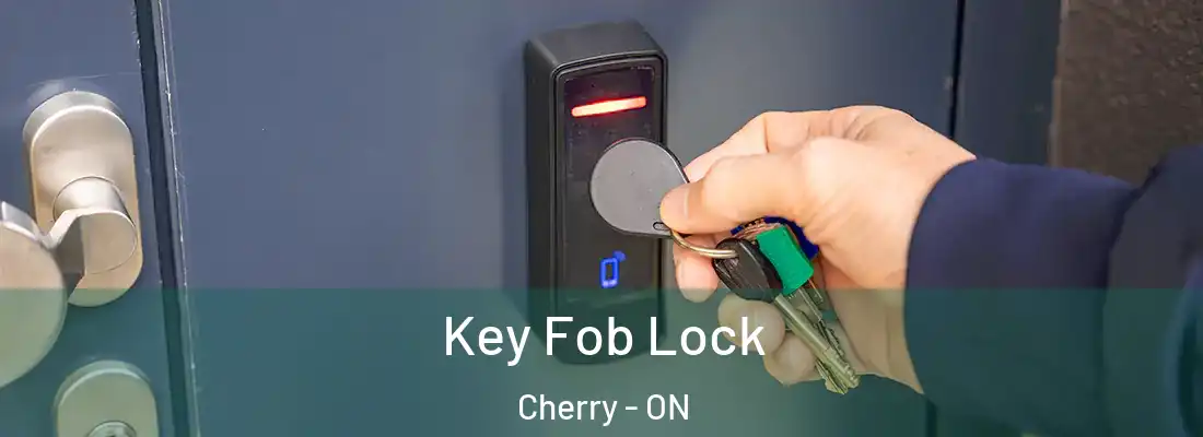  Key Fob Lock Cherry - ON