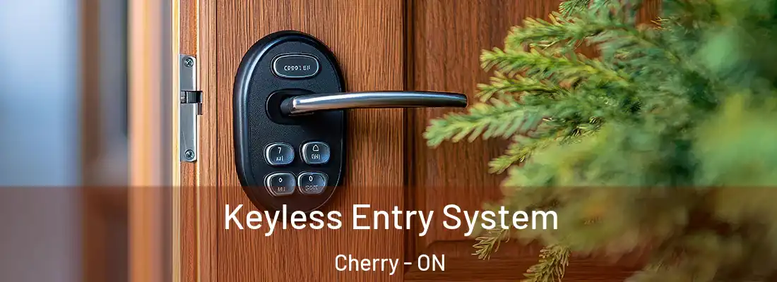  Keyless Entry System Cherry - ON