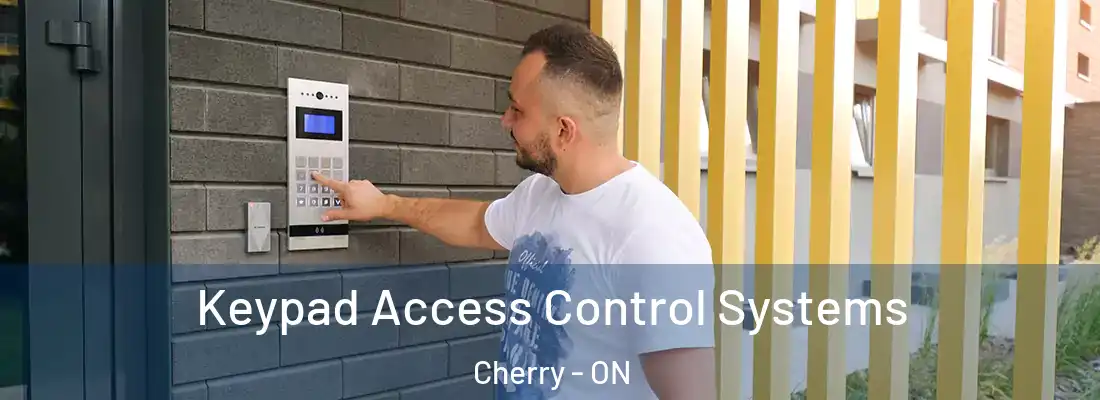  Keypad Access Control Systems Cherry - ON