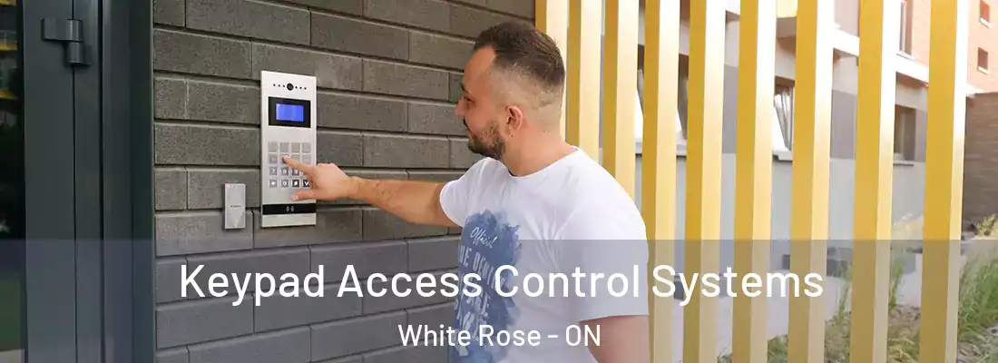  Keypad Access Control Systems White Rose - ON
