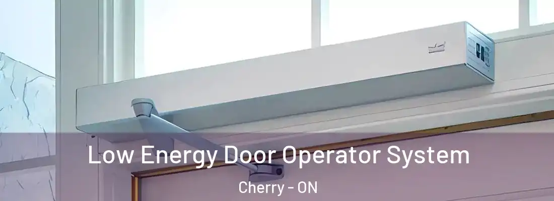 Low Energy Door Operator System Cherry - ON