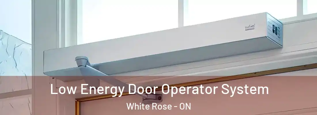  Low Energy Door Operator System White Rose - ON
