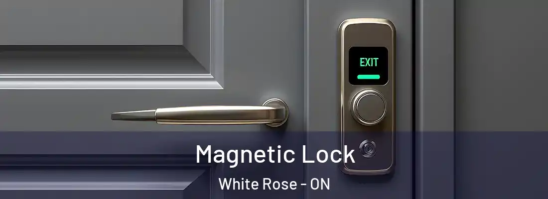  Magnetic Lock White Rose - ON